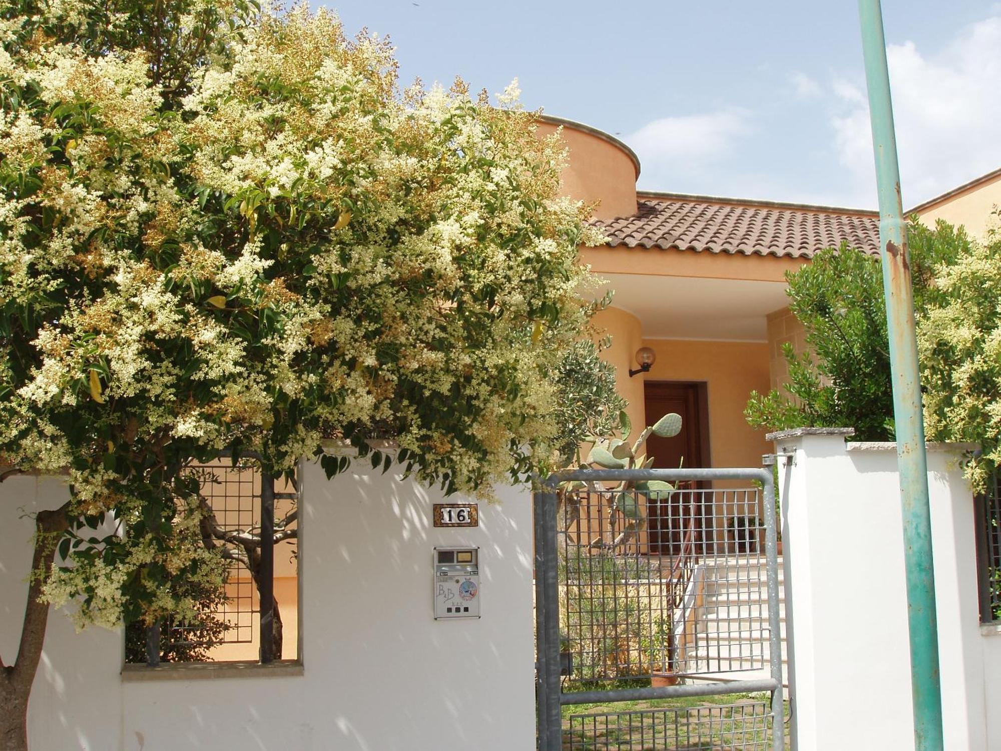 Residenza Del Sole Bed & Breakfast Surbo Luaran gambar