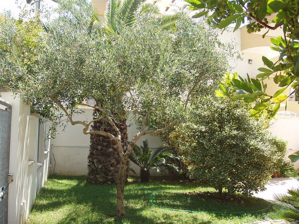 Residenza Del Sole Bed & Breakfast Surbo Luaran gambar